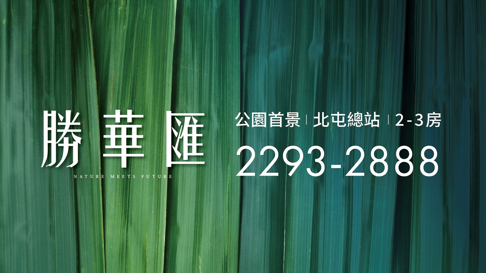 最新活動
