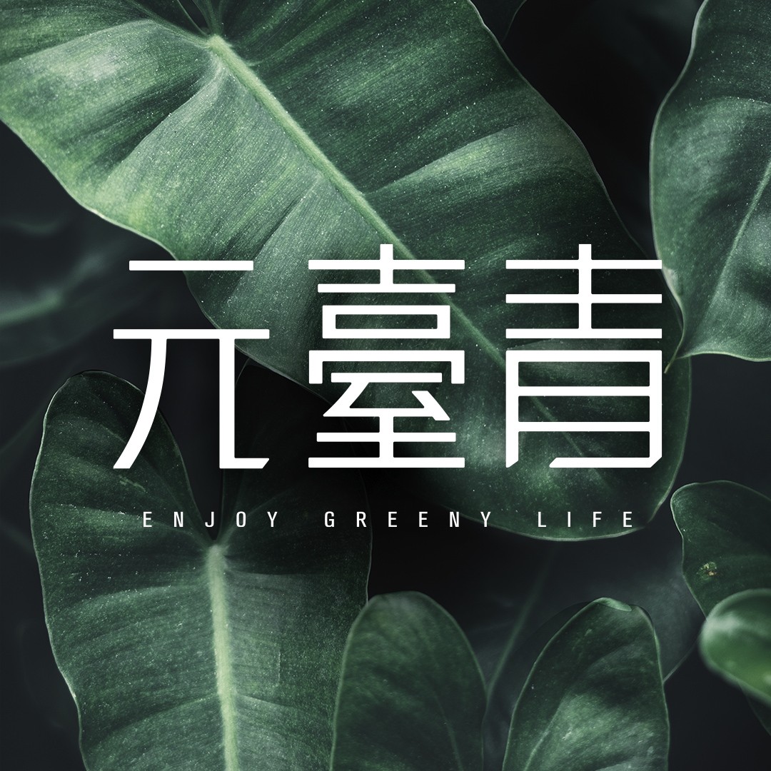 [中壢]元臺青｜5分鐘A19生活圈，大兩房雙衛開窗稀有格局，限量珍藏