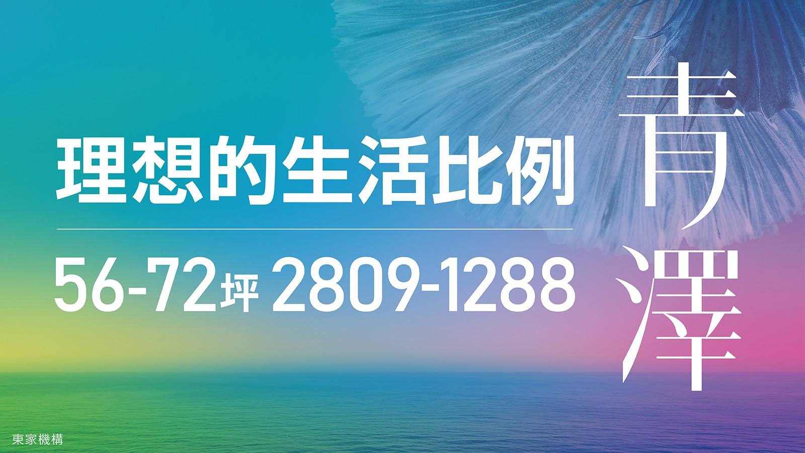 最新活動